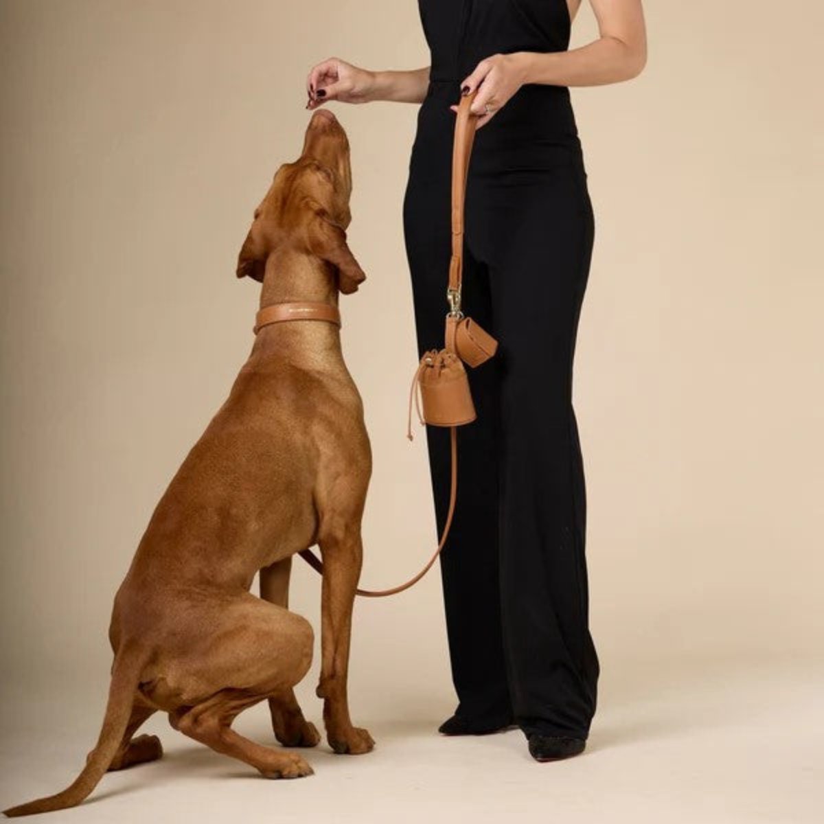 Sac à friandises pour chien en cuir - LUXE - Kasibe