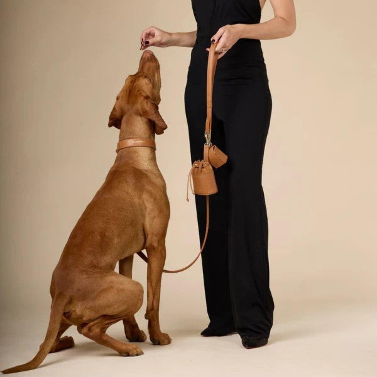 Sac à friandises pour chien en cuir - LUXE - Kasibe