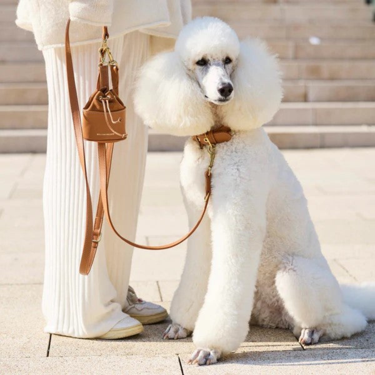 Sac à friandises pour chien en cuir - LUXE - Kasibe