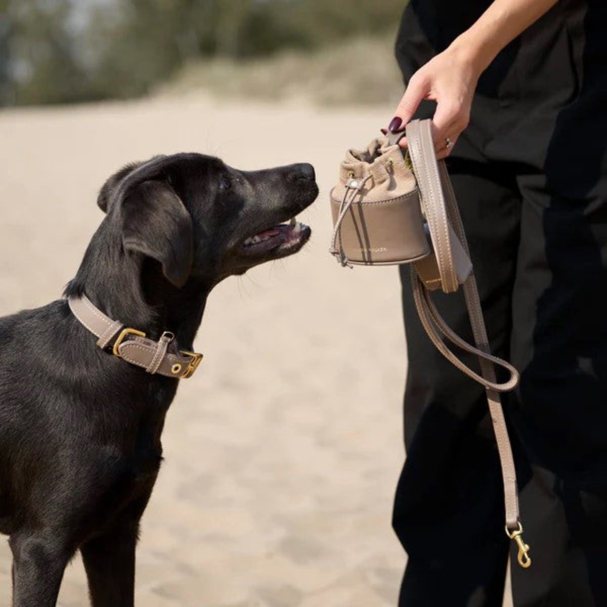 Sac à friandises pour chien en cuir - LUXE - Kasibe
