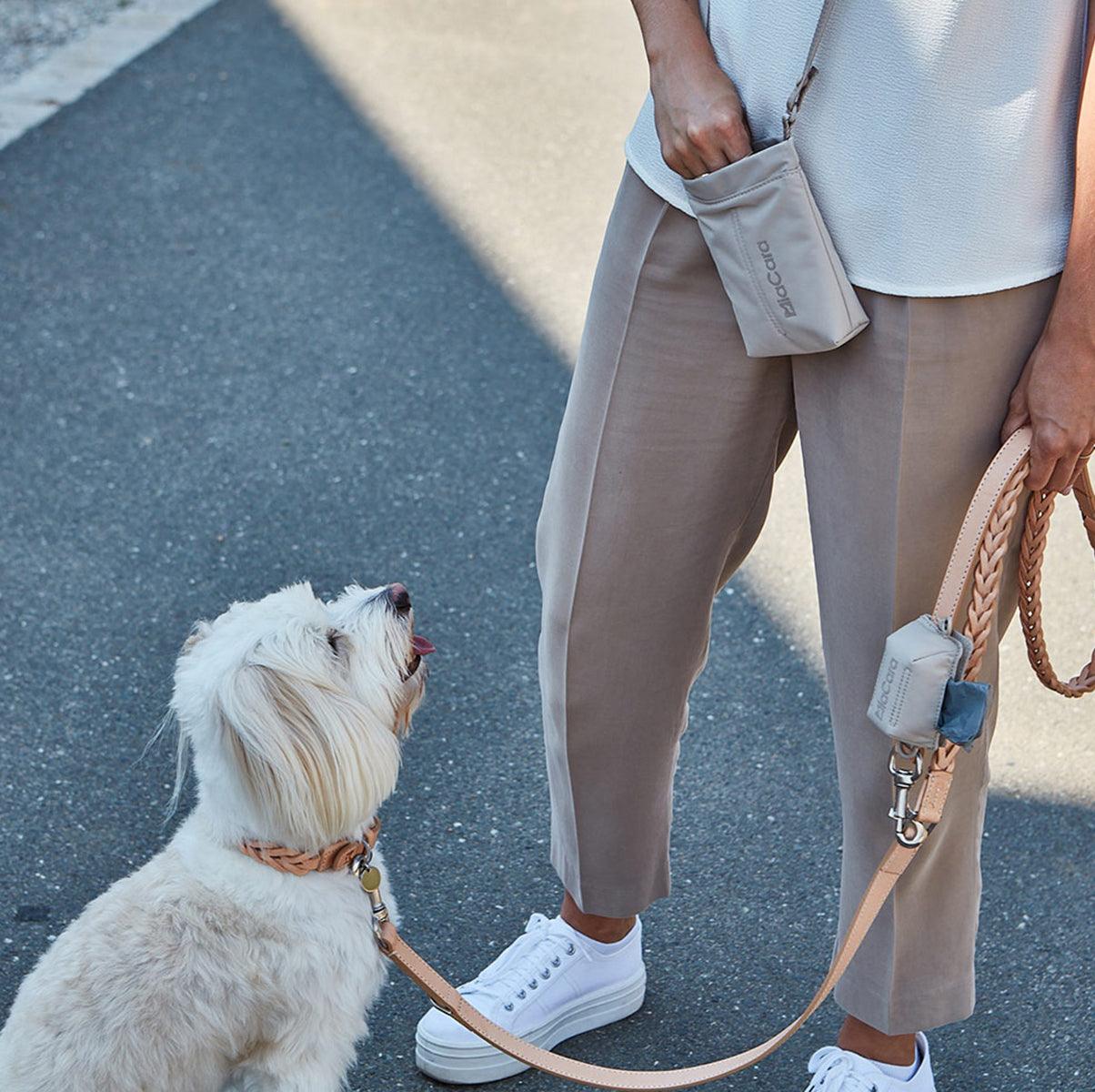 Sac à friandises pour chien - GUSTO - Kasibe