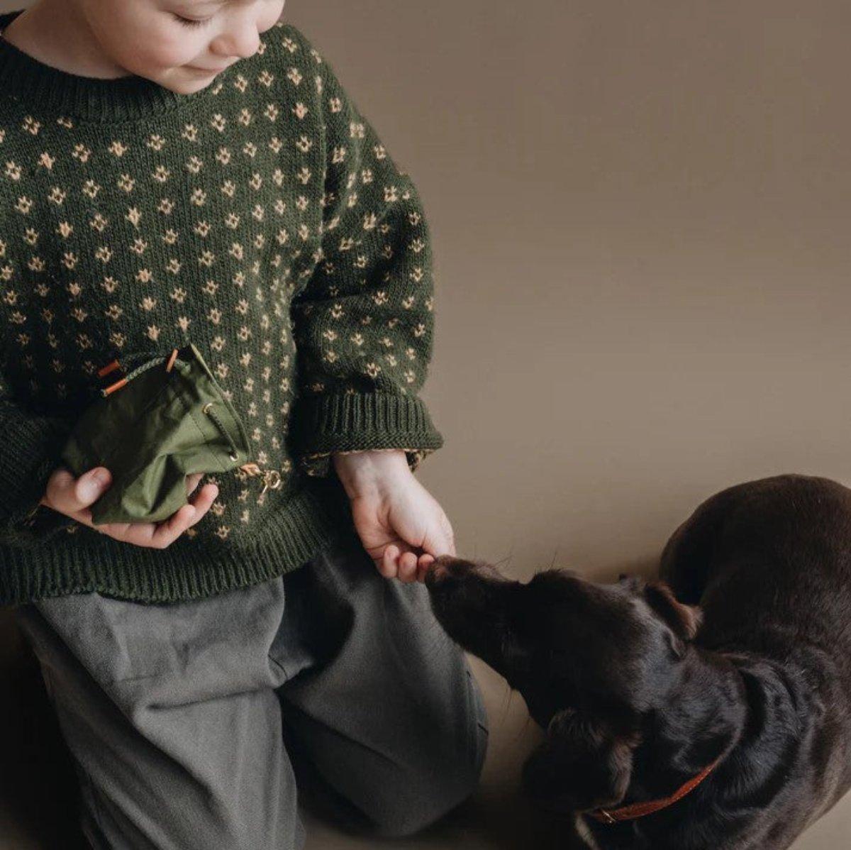 Sac à friandises pour chien - YORK - Kasibe
