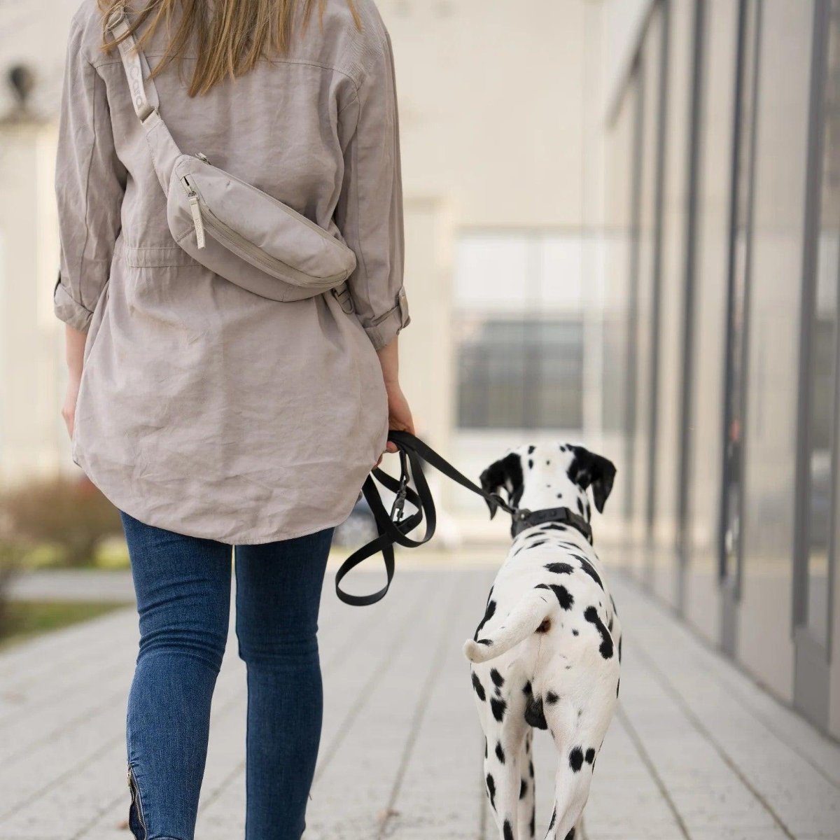 Sac banane pour chien - CINTA - Kasibe
