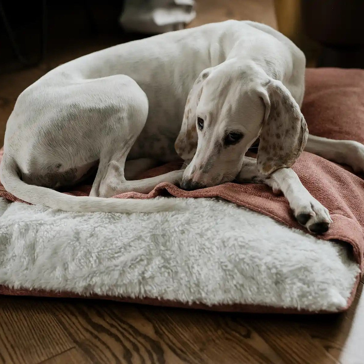 Sac de couchage pour chien - BLISS - Kasibe