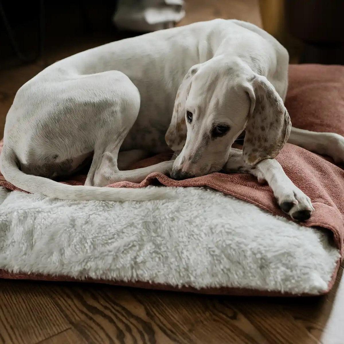 Sac de couchage pour chien - BLISS - Kasibe