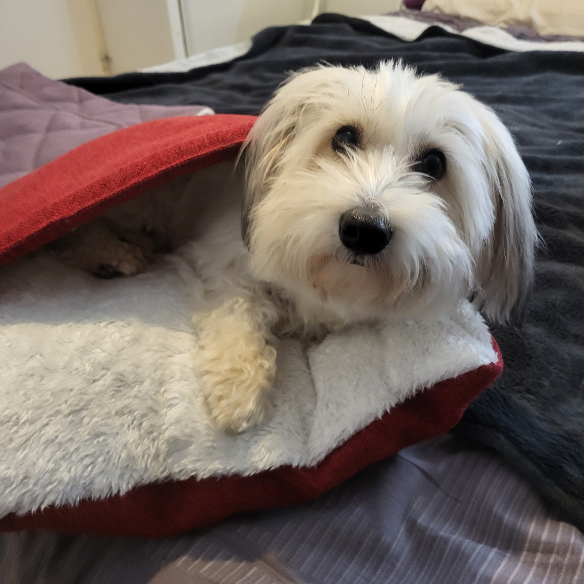 Sac de couchage pour chien - BLISS - Kasibe