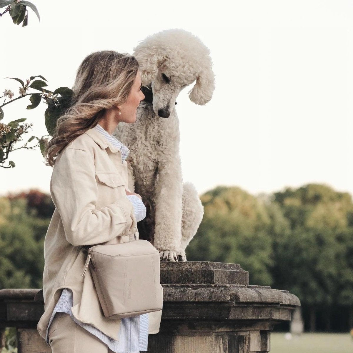 Sac de ville pour chien - URBANO - Kasibe