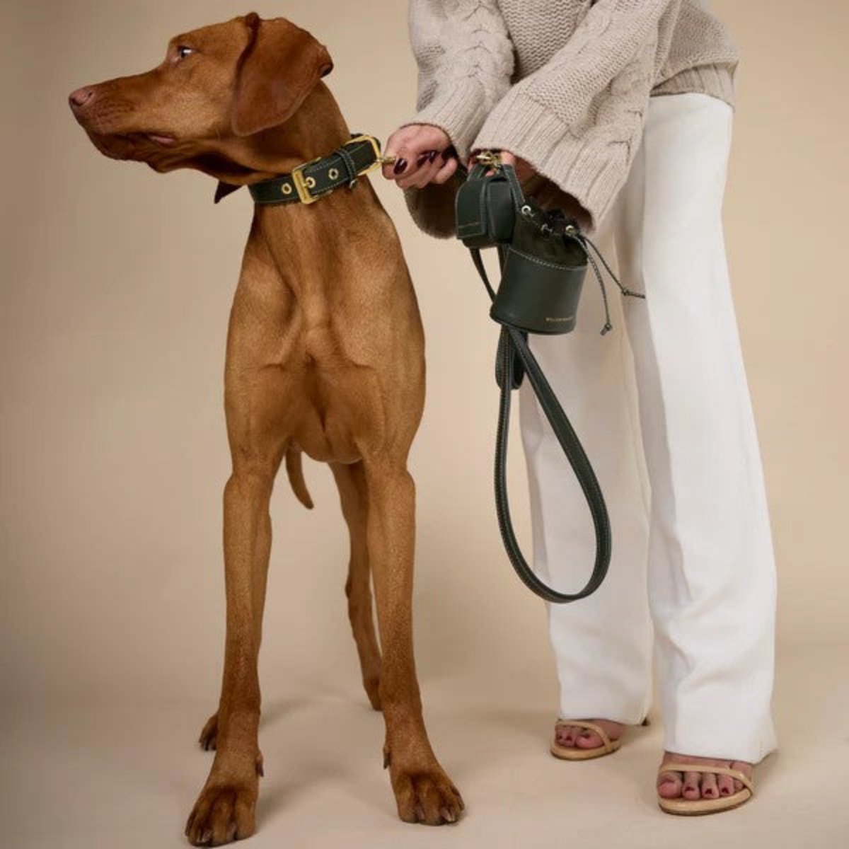 Sac distributeur de sacs jetables pour chien - LUXE - Kasibe