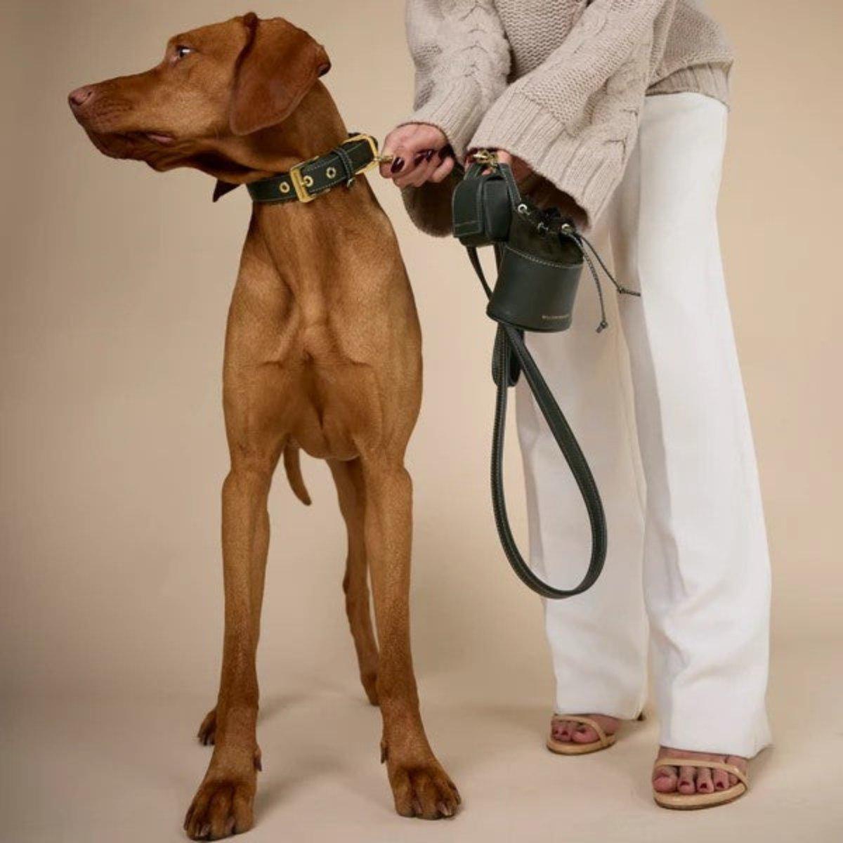 Sac distributeur de sacs jetables pour chien - LUXE - Kasibe