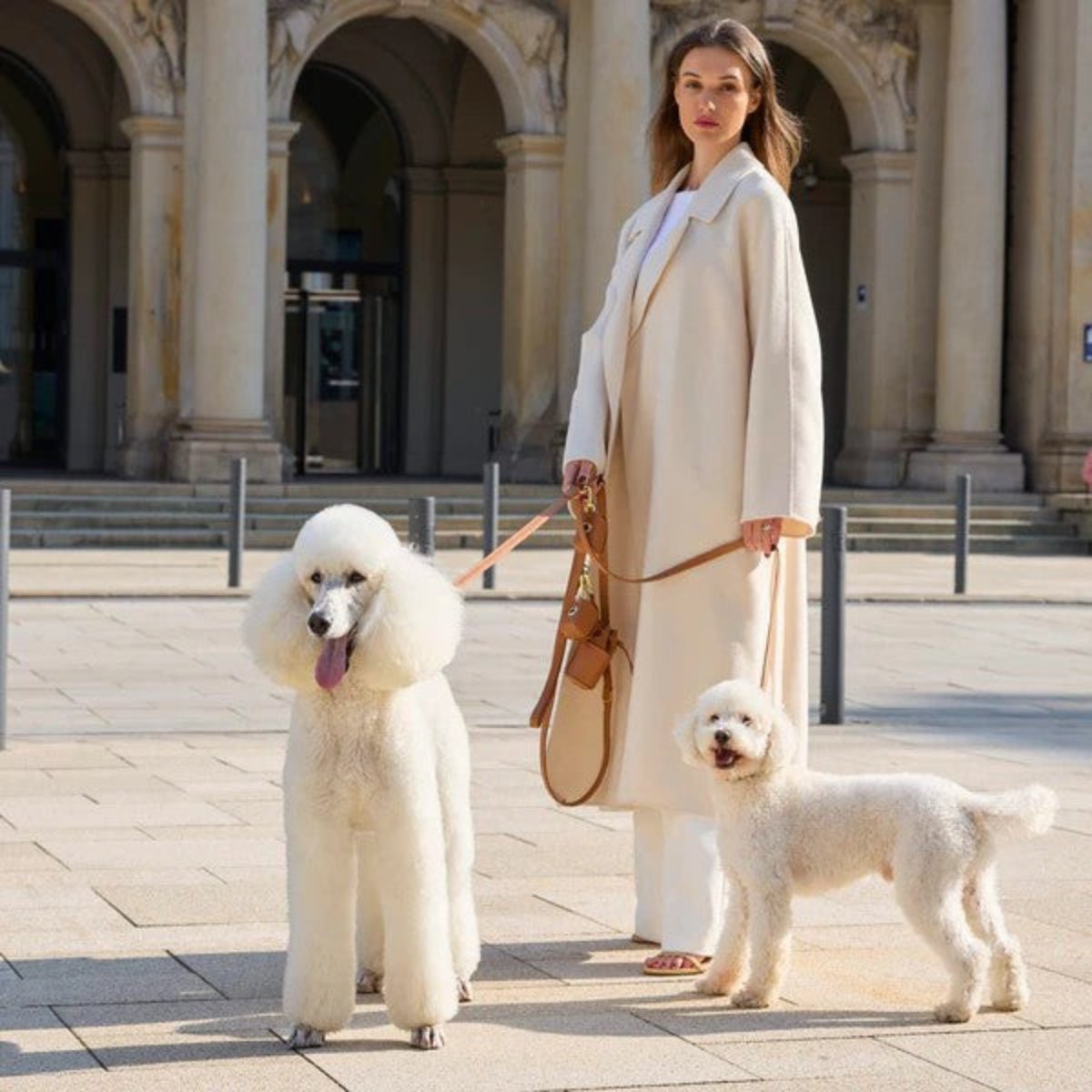 Sac distributeur de sacs jetables pour chien - LUXE - Kasibe