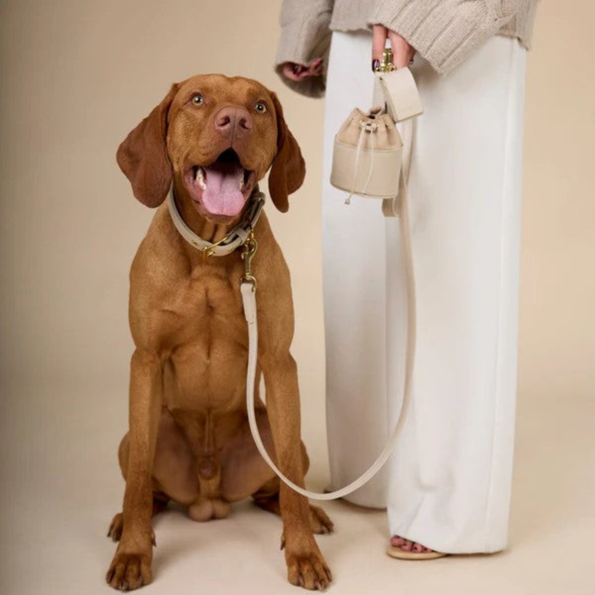 Sac distributeur de sacs jetables pour chien - LUXE - Kasibe