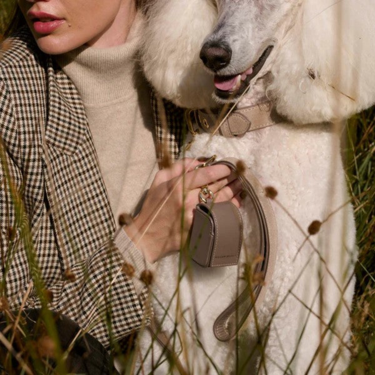 Sac distributeur de sacs jetables pour chien - LUXE - Kasibe