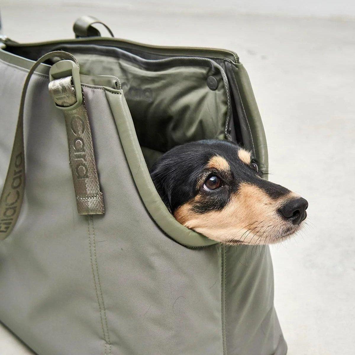 sac de transport pour chien vert - kasibe