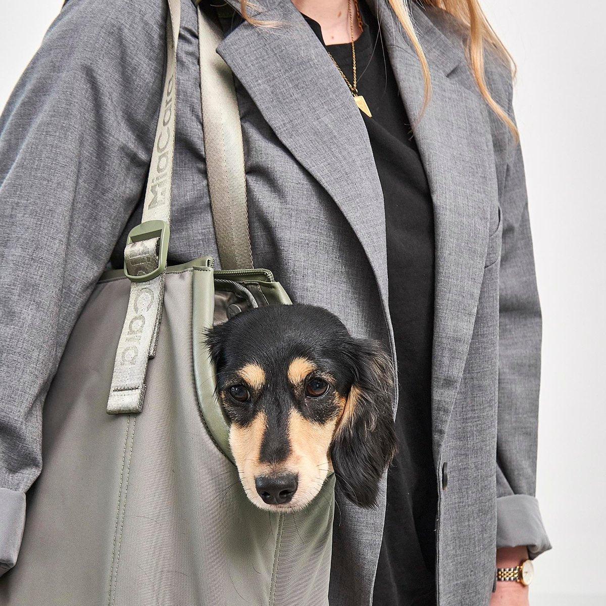 sac de transport pour chien vert - kasibe