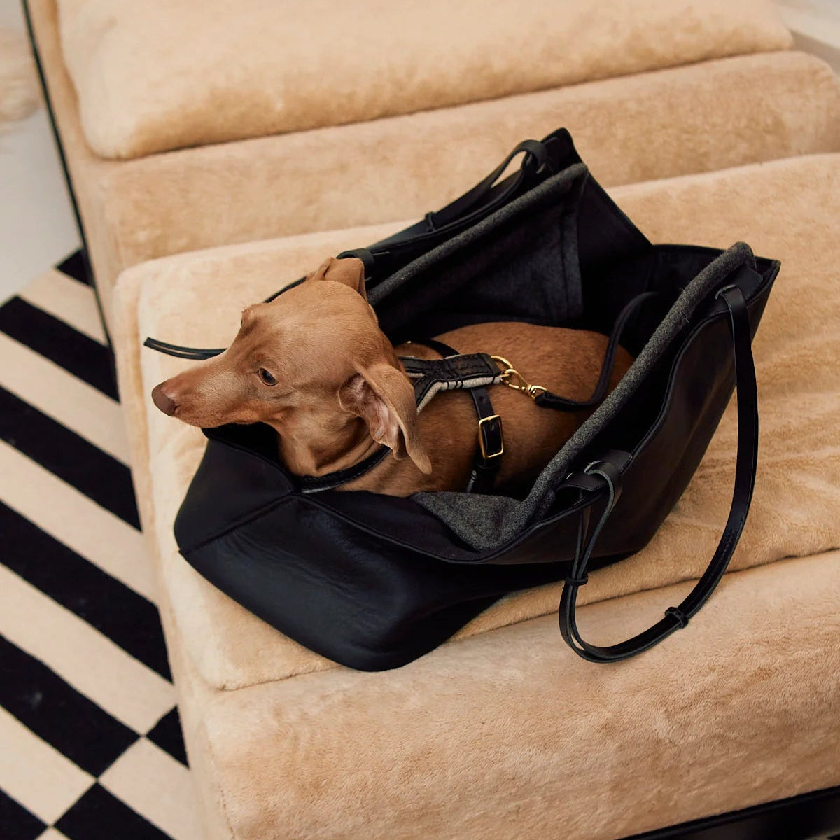 sac de transport pour chien en cuir luxe - kasibe