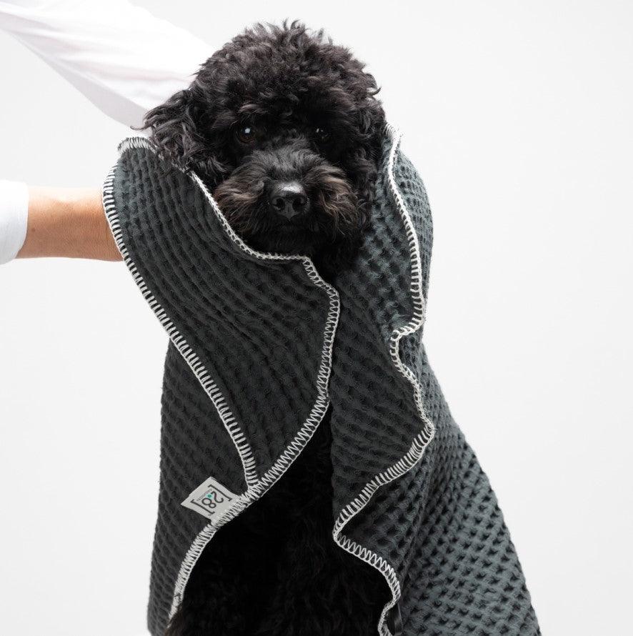 Serviette absorbante pour chien - SALLY DOTTO - Kasibe