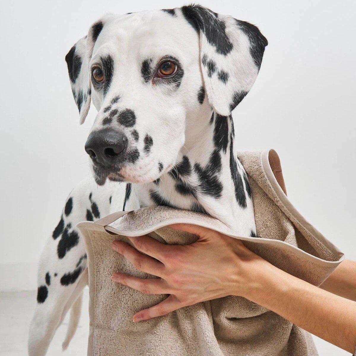 Serviette éponge pour chien - SECCO - Kasibe