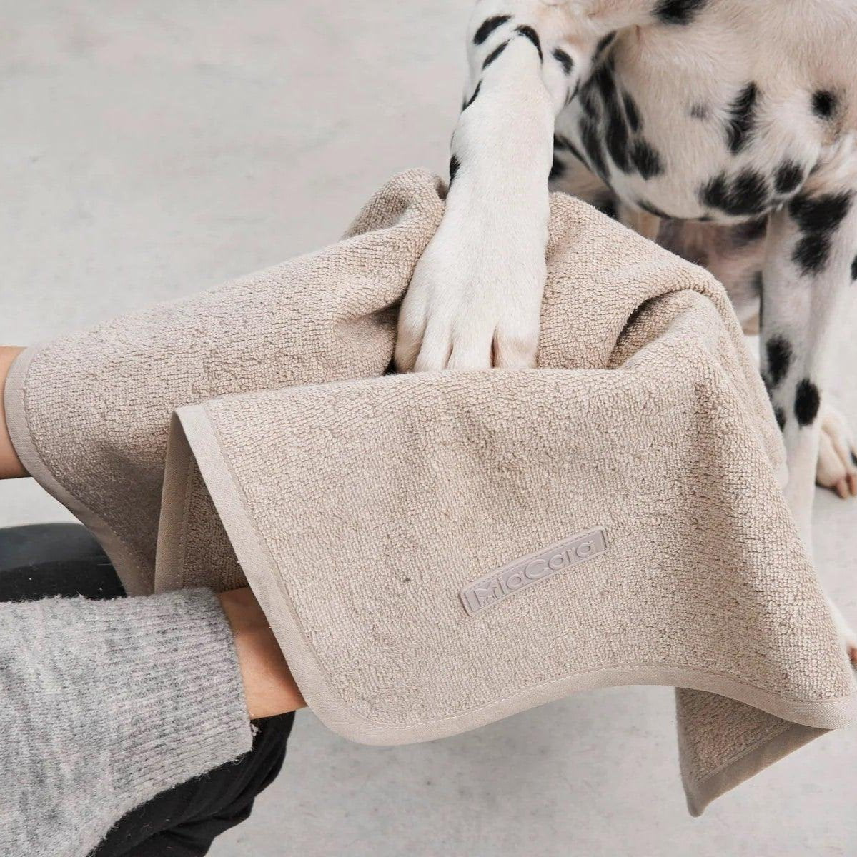 Serviette éponge pour chien - SECCO - Kasibe