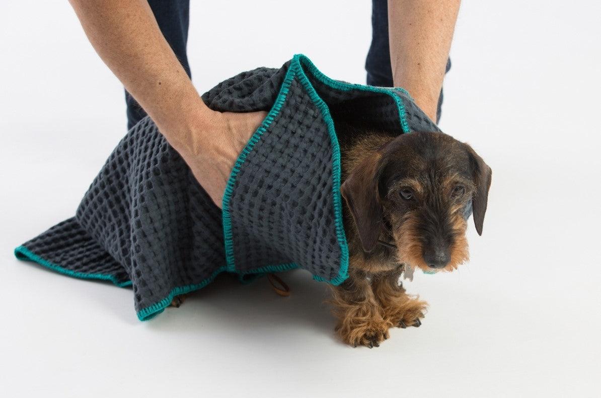 Serviette pour chien - SALLY - Kasibe