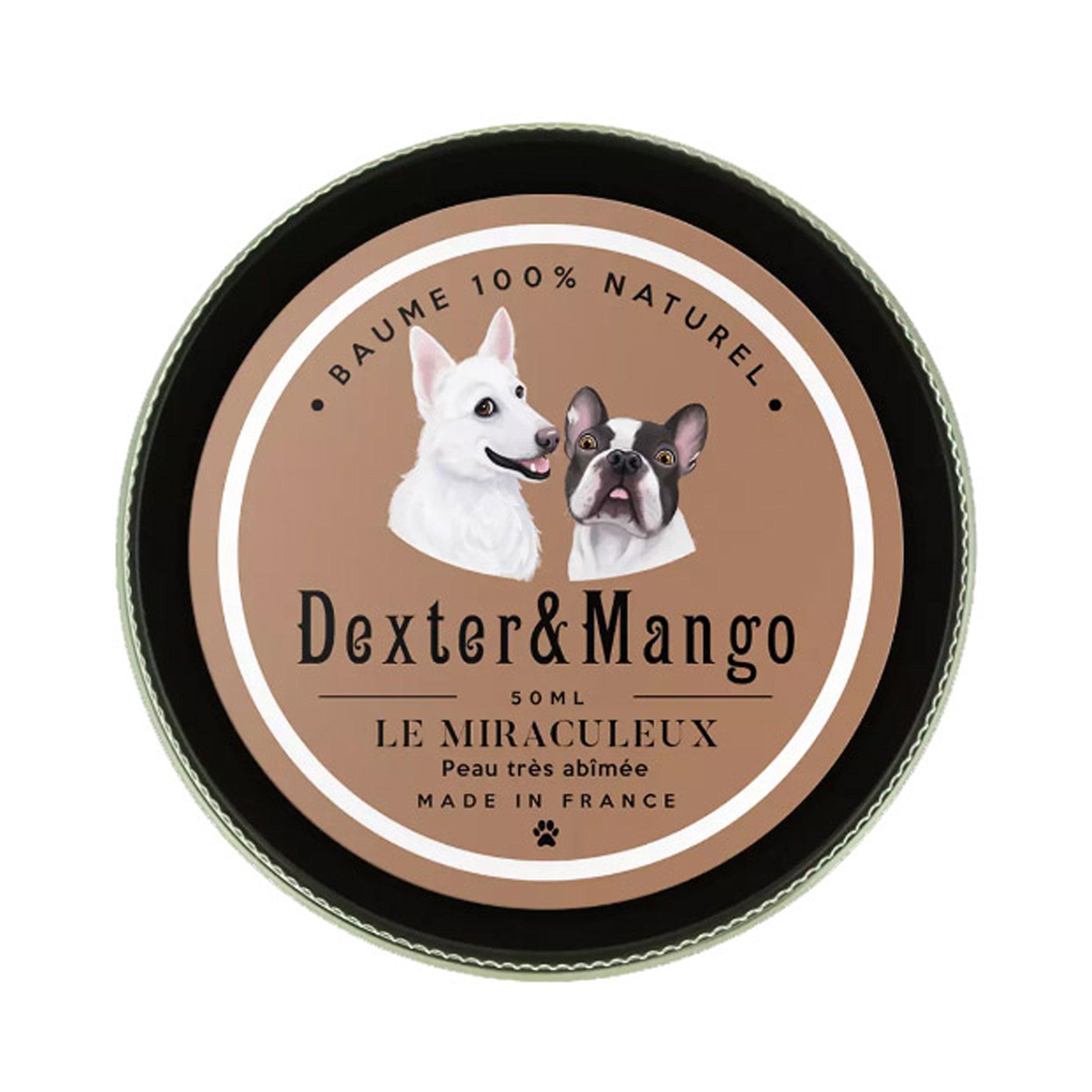 Soins du coussinet du chien, de sa peau et de sa truffe - Kasibe