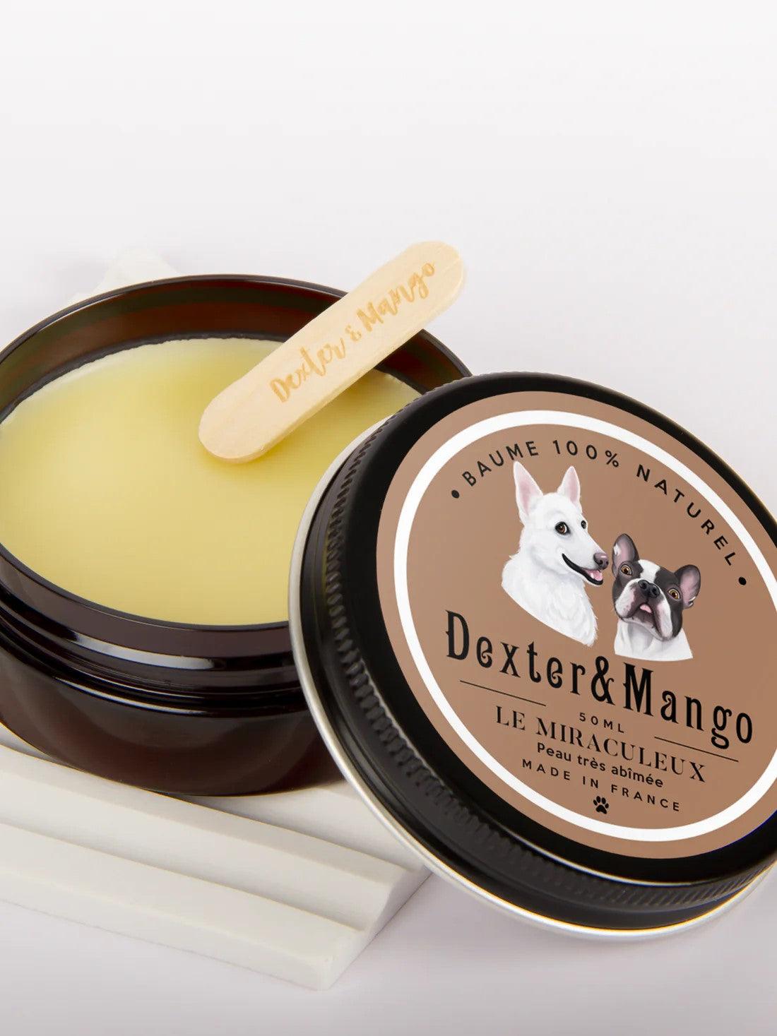 Soins du coussinet du chien, de sa peau et de sa truffe - Kasibe