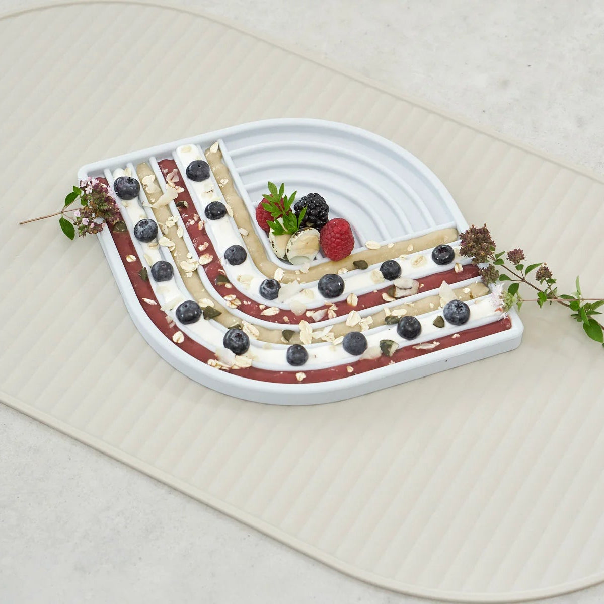 Tapis à lécher pour chien en silicone - kasibe