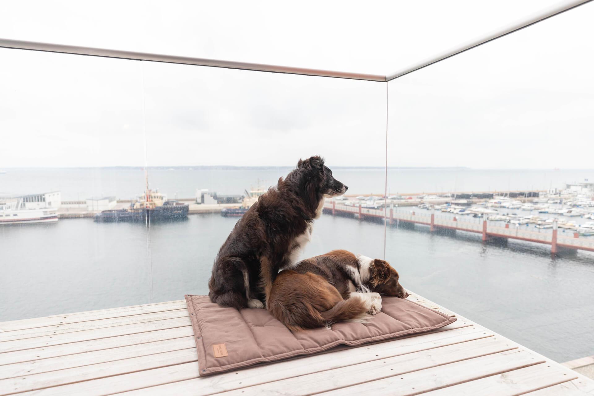 Tapis de transport pour chien - CLASSIC - Kasibe