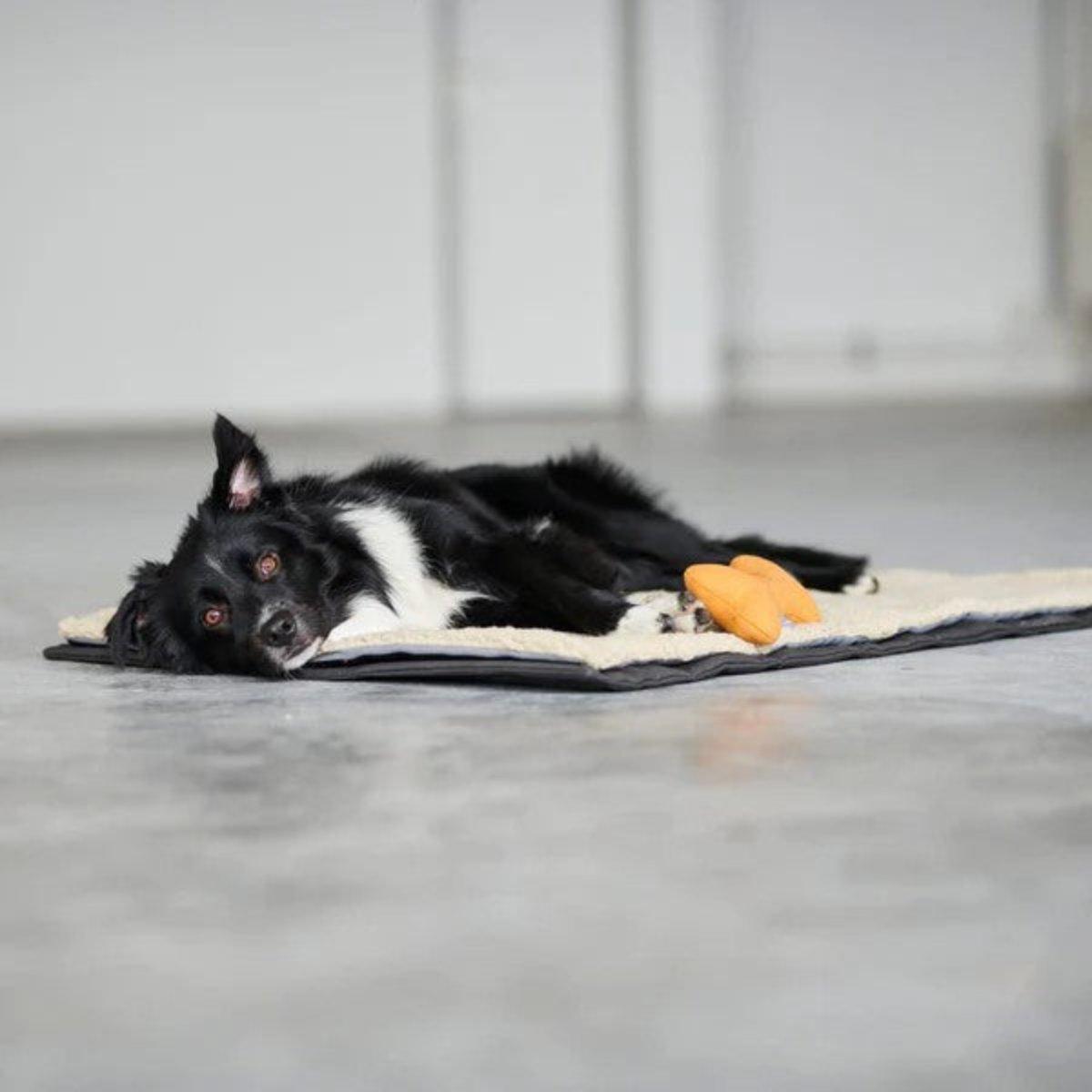 Tapis de voyage de luxe pour chien - TRAVEL SUPERIOR - Kasibe