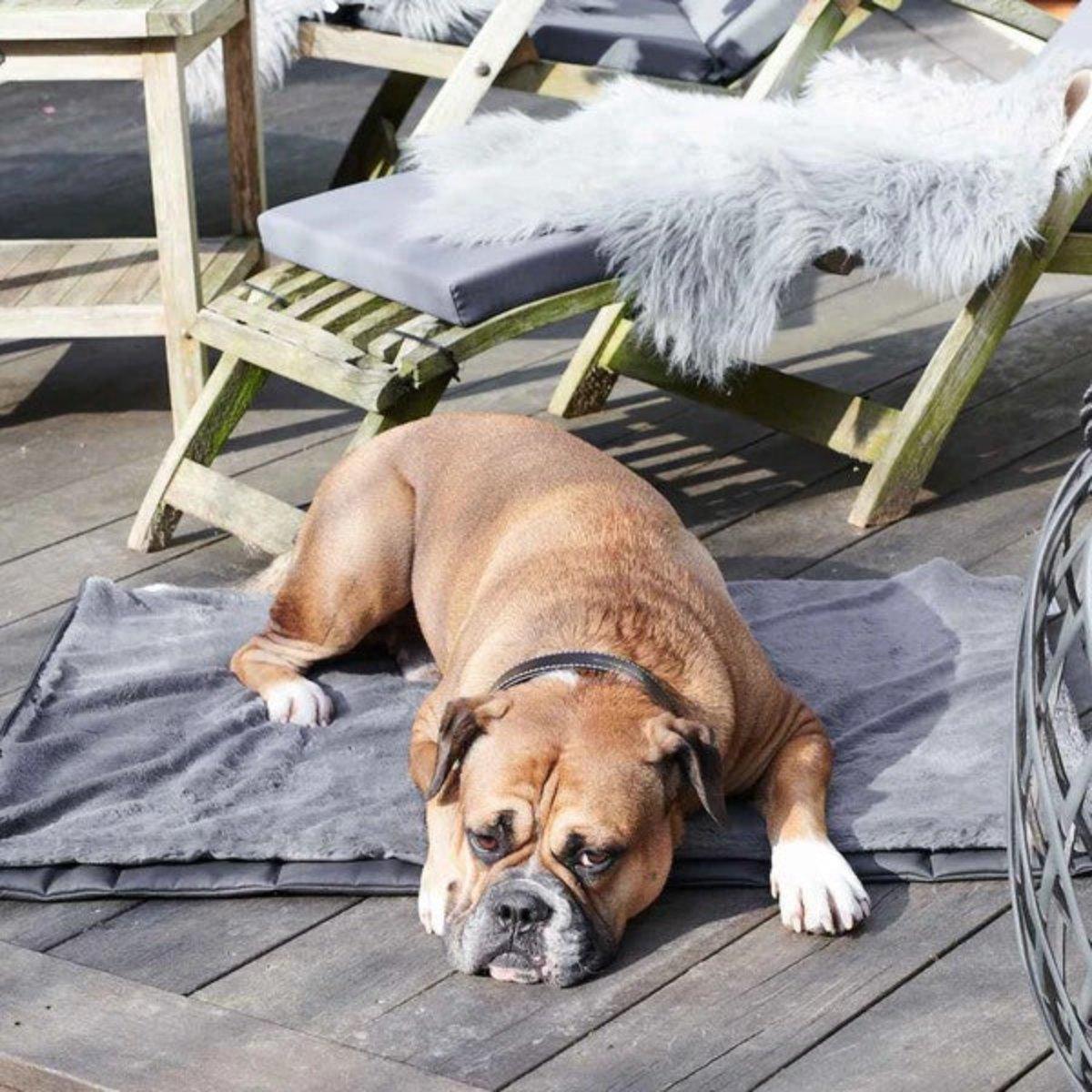Tapis de voyage de luxe pour chien - TRAVEL SUPERIOR - Kasibe