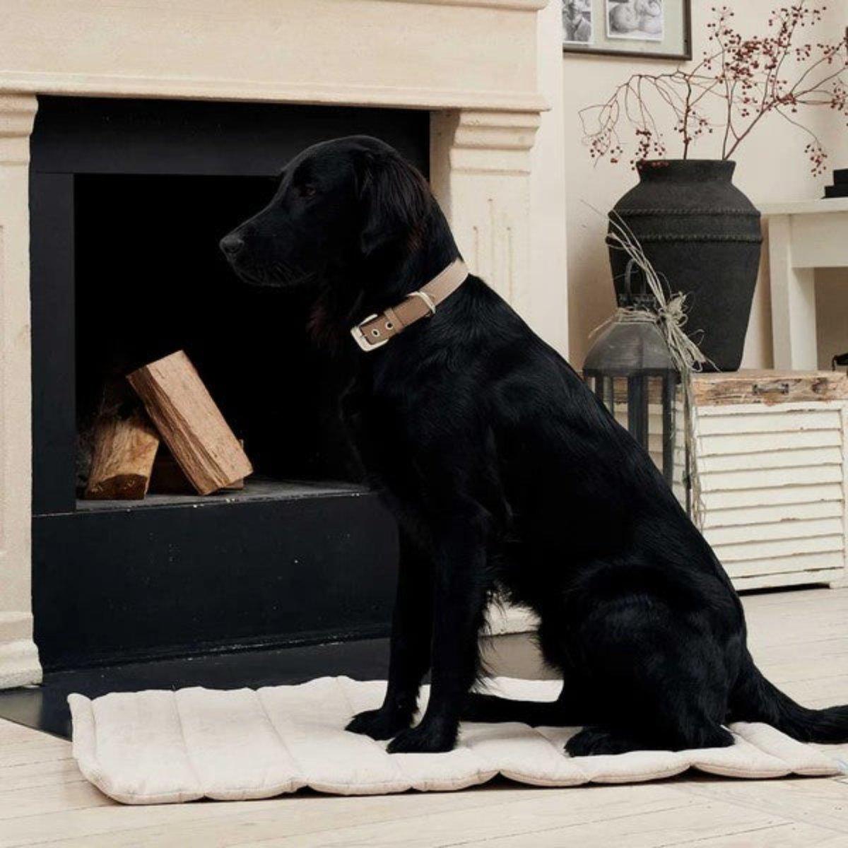 Tapis de voyage pour chien rembourré et matelassé - TRAVEL - Kasibe