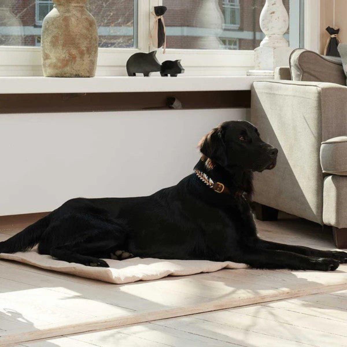 Tapis de voyage pour chien rembourré et matelassé - TRAVEL - Kasibe