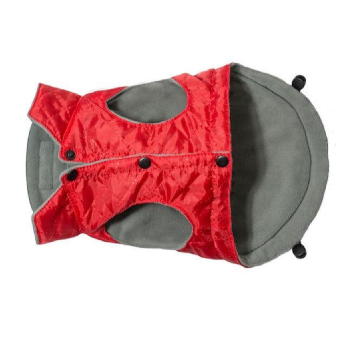 Veste pour chien - SPIRIT - Kasibe