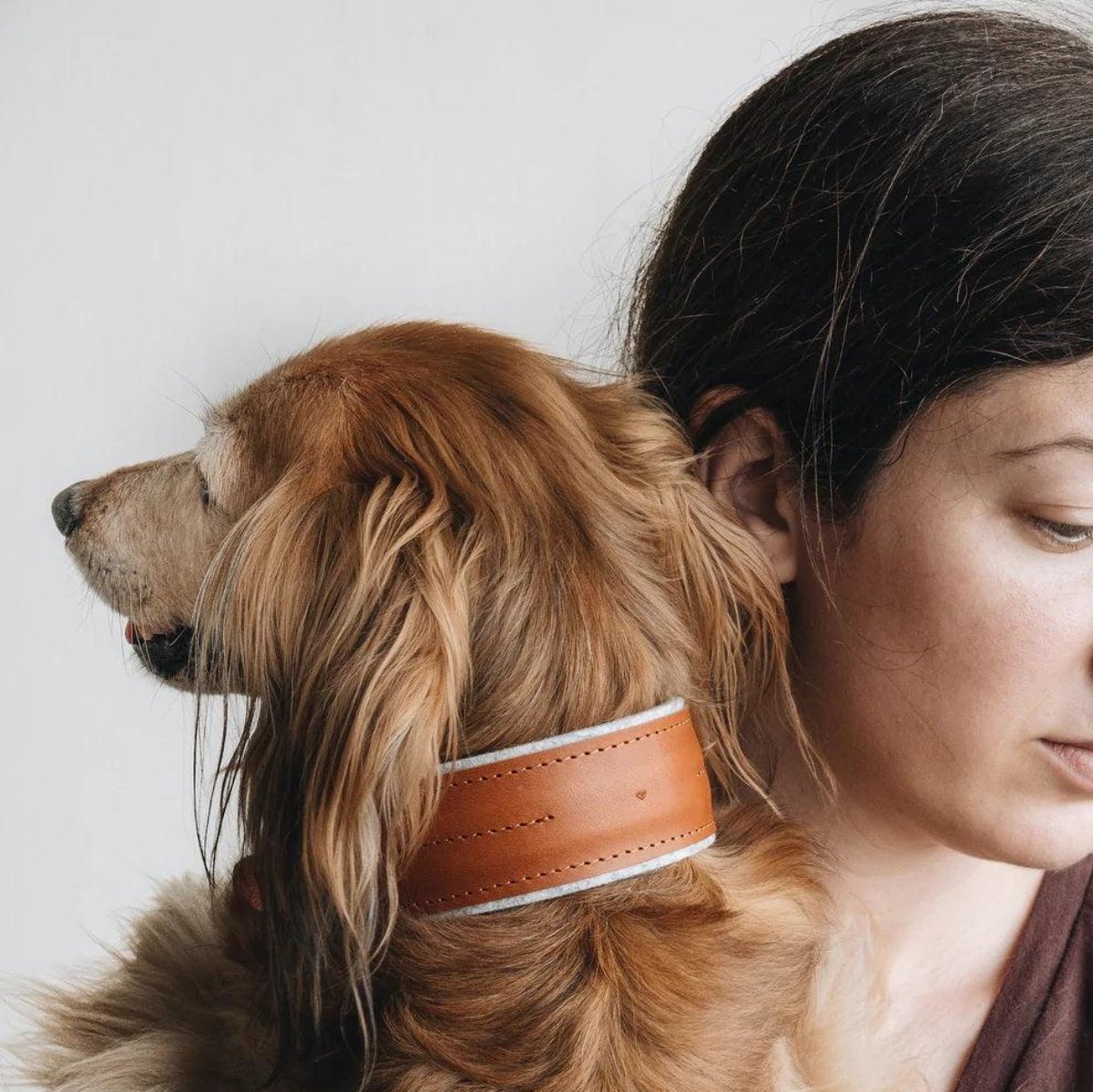 Beau collier pour chien - PIN - Kasibe