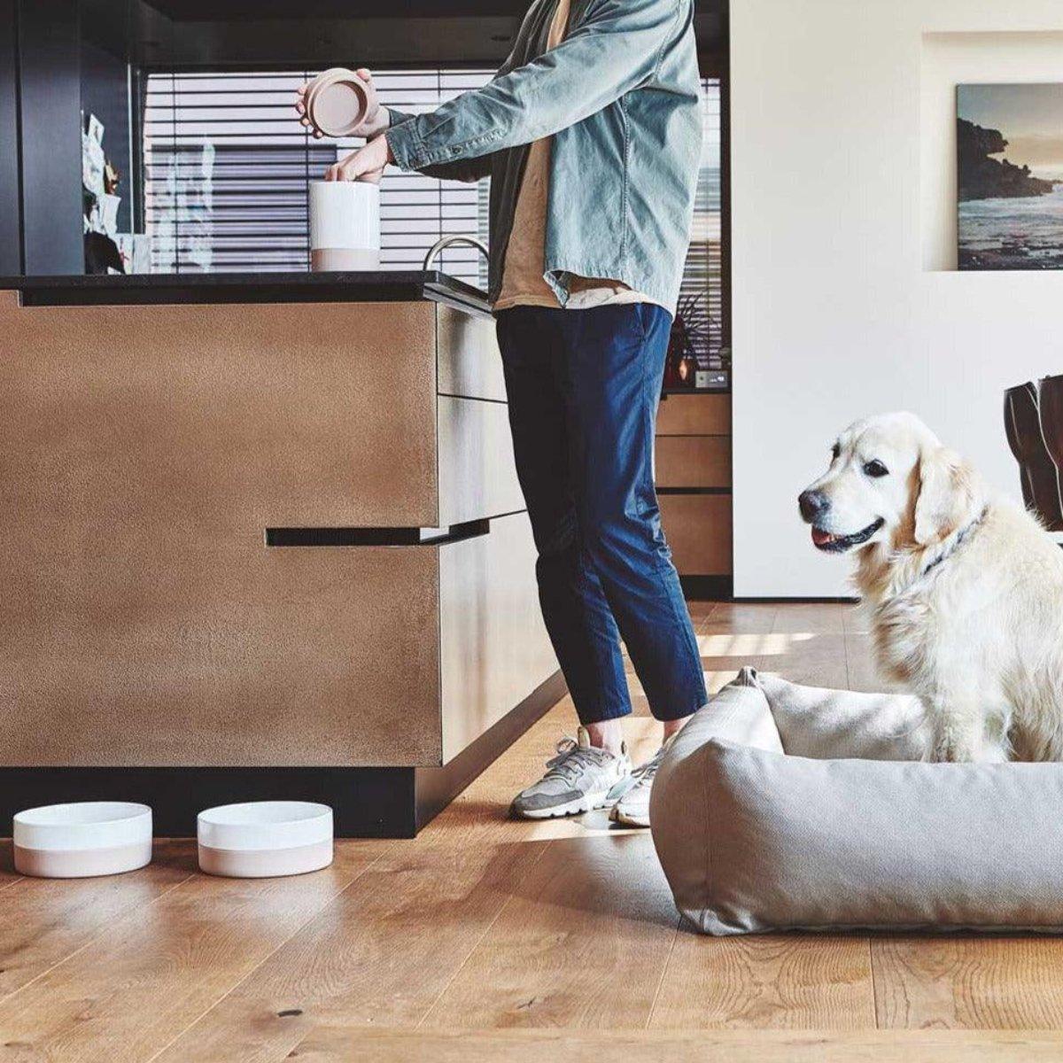Boîte à friandises pour chien - COPPA - Kasibe