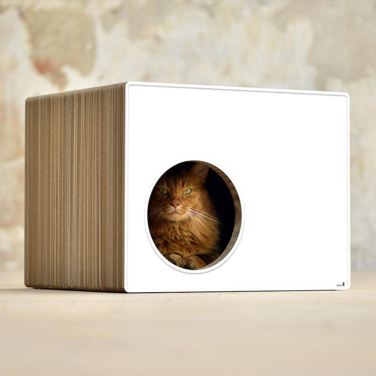 Cabane griffoir pour chat - PHREDIA ECKHAUS - Kasibe
