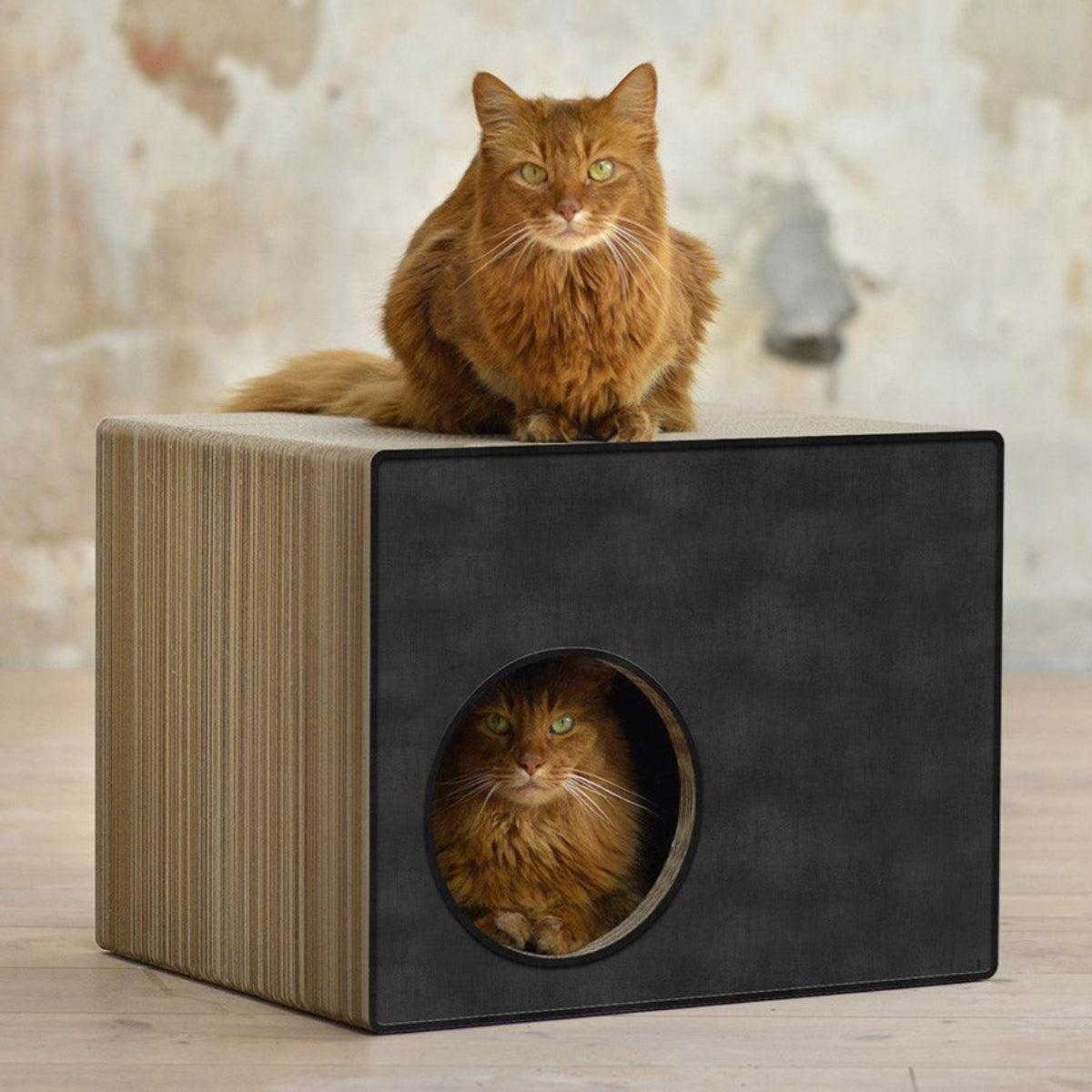 Cabane griffoir pour chat - PHREDIA ECKHAUS - Kasibe