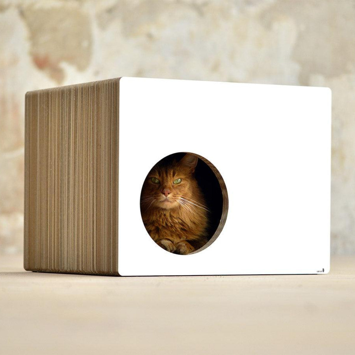 Cabane griffoir pour chat - PHREDIA ECKHAUS - Kasibe