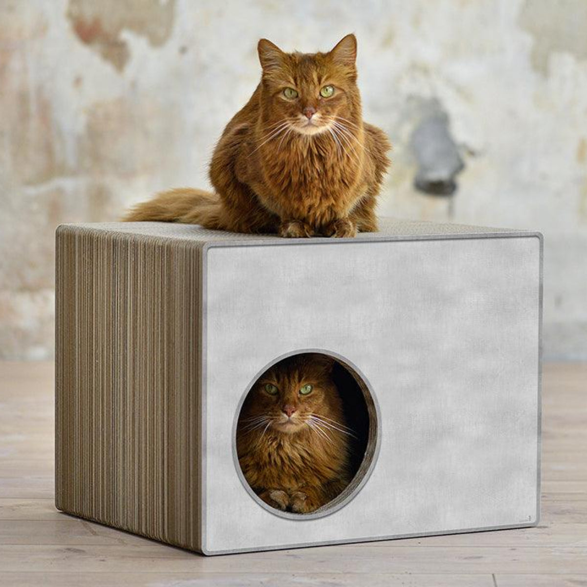 Cabane griffoir pour chat - PHREDIA ECKHAUS - Kasibe