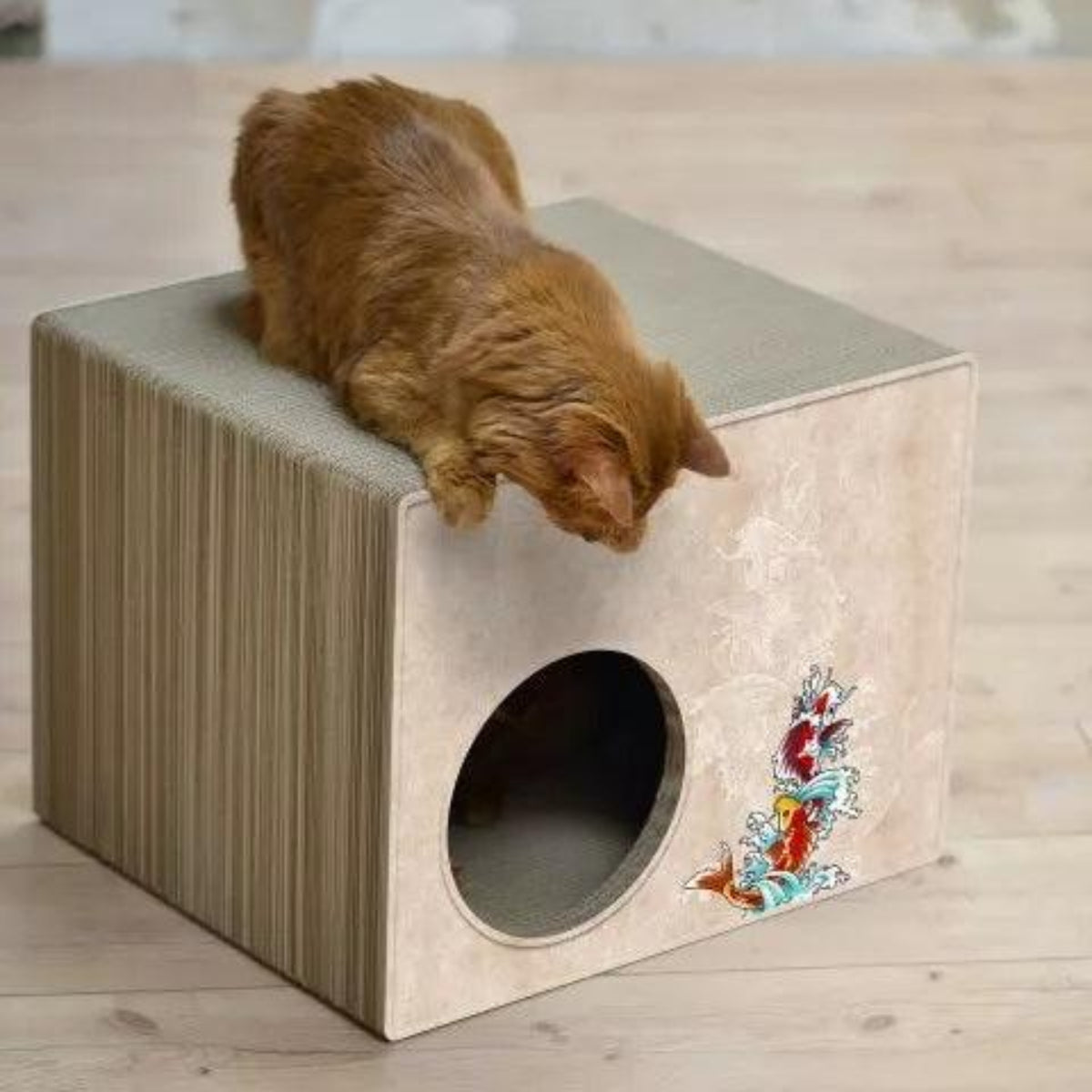 Cabane griffoir pour chat - PHREDIA ECKHAUS - Kasibe