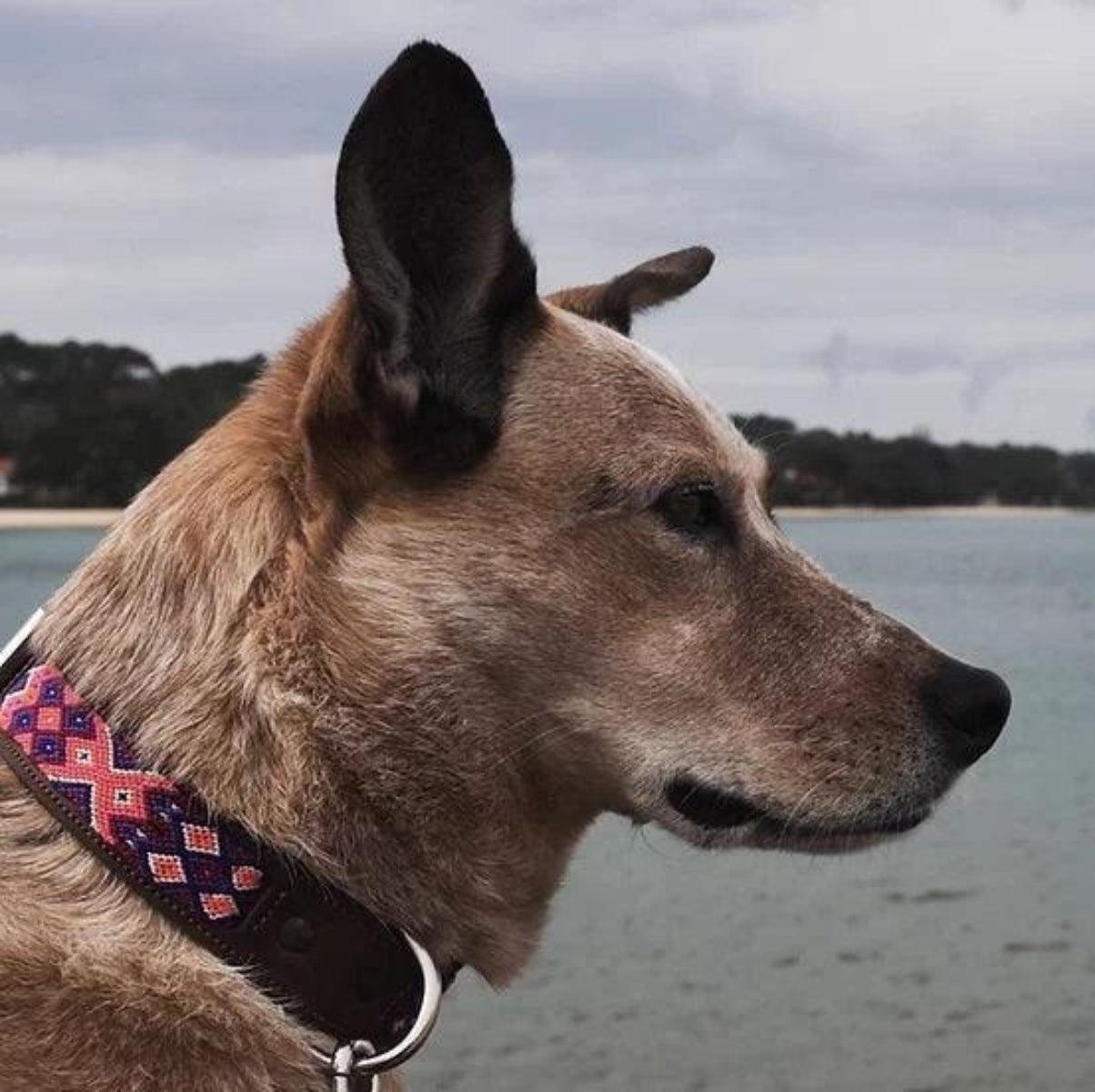 Collier pour chien ethnique brodé à la main et cuir kasibe