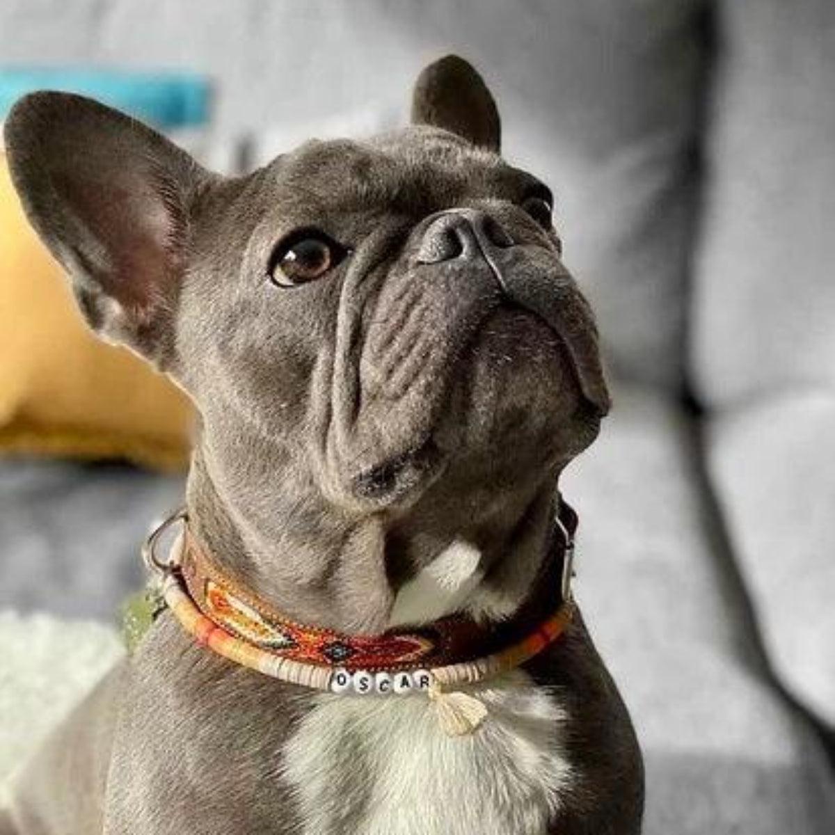 Collier pour chien ethnique brodé à la main et cuir kasibe