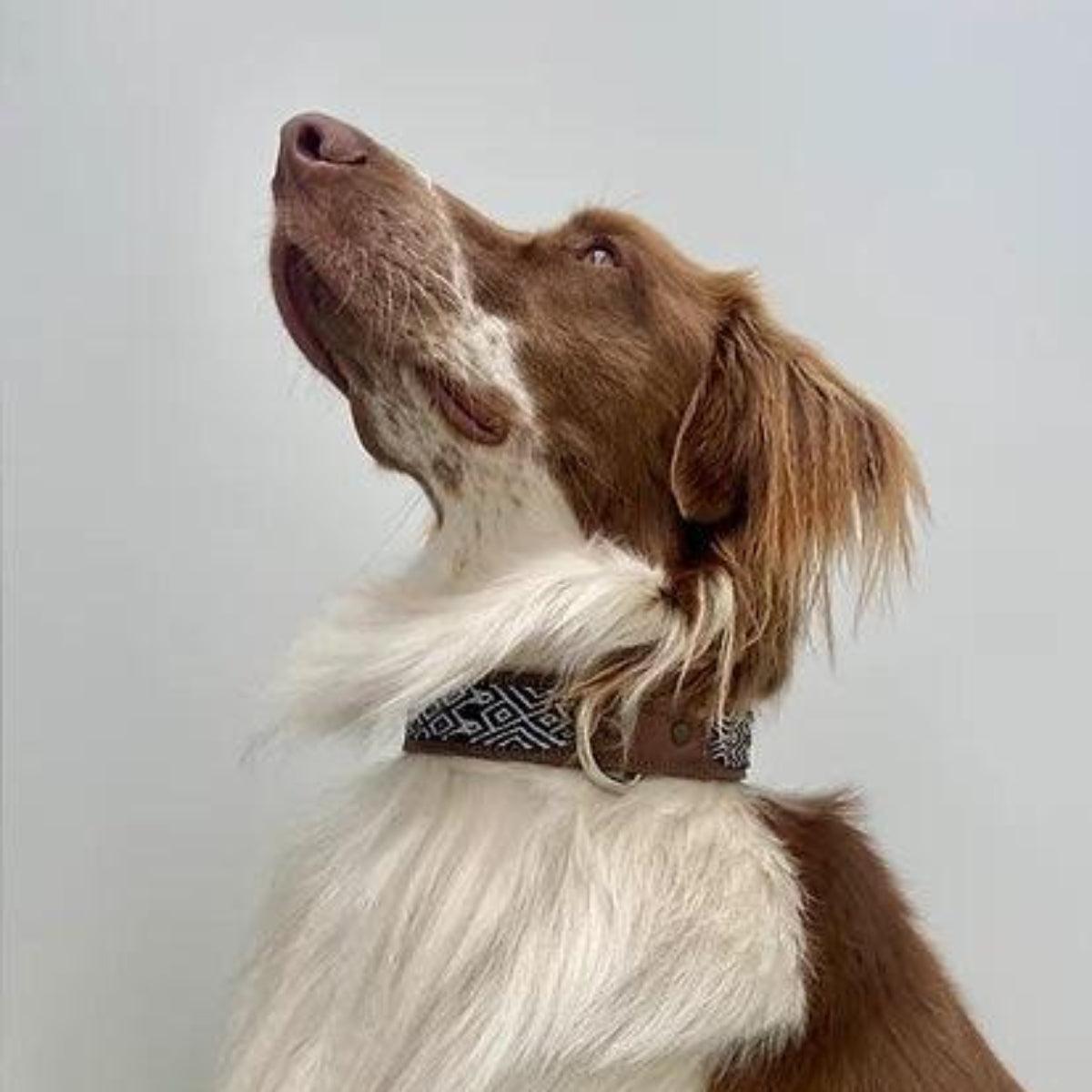 Collier pour chien ethnique brodé à la main et cuir kasibe