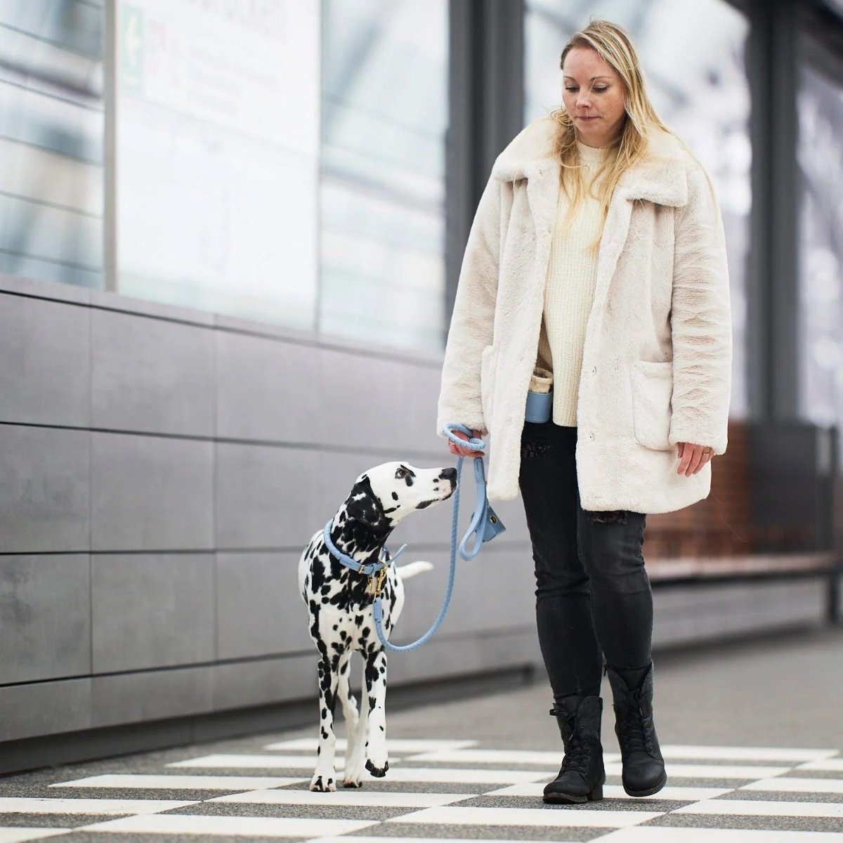 Colliers tressés pour chien - TWISTED - Kasibe