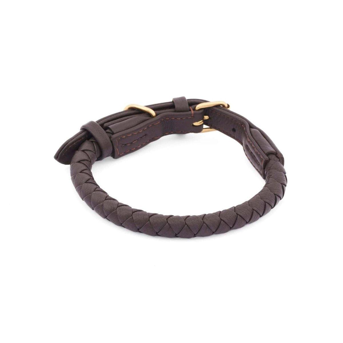 Colliers tressés pour chien - TWISTED - Kasibe