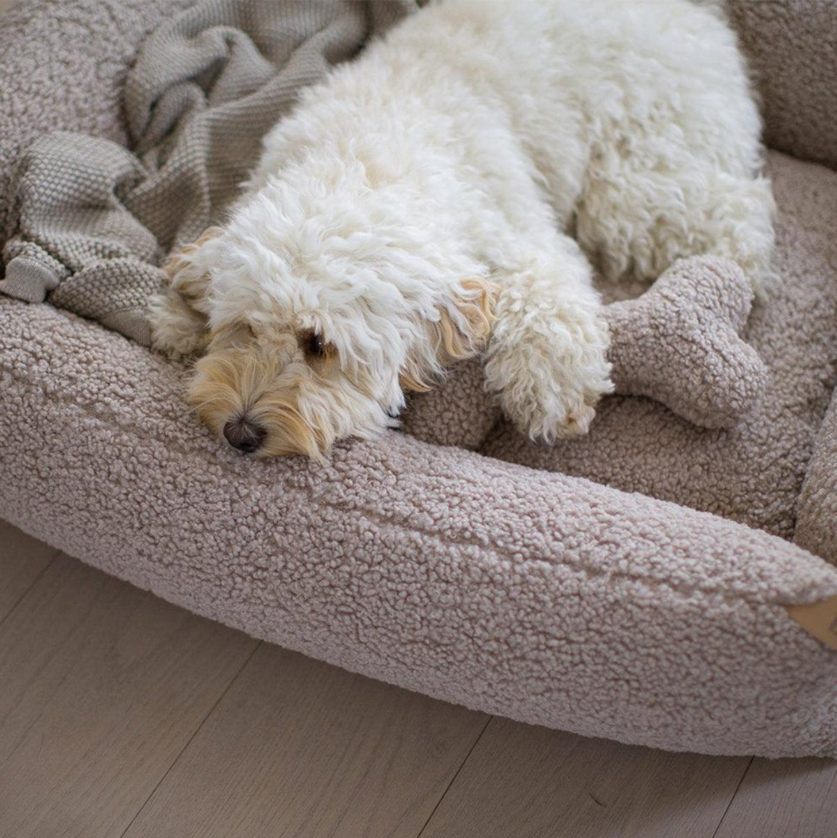 Couchage pour chien confortable - SENSO - Kasibe