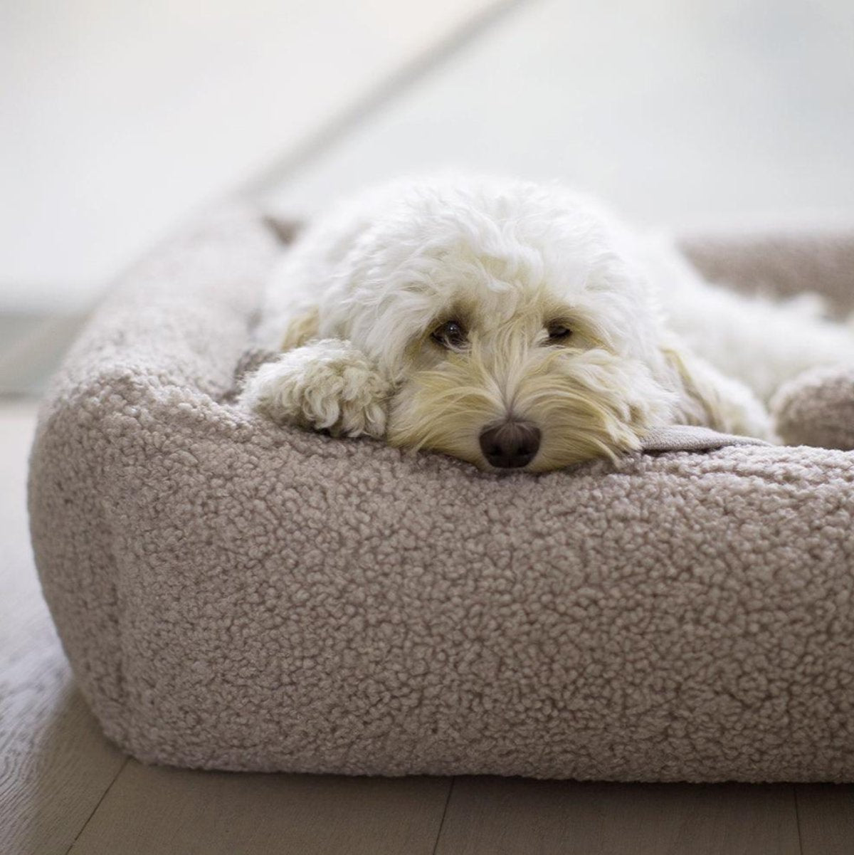 Couchage pour chien confortable - SENSO - Kasibe