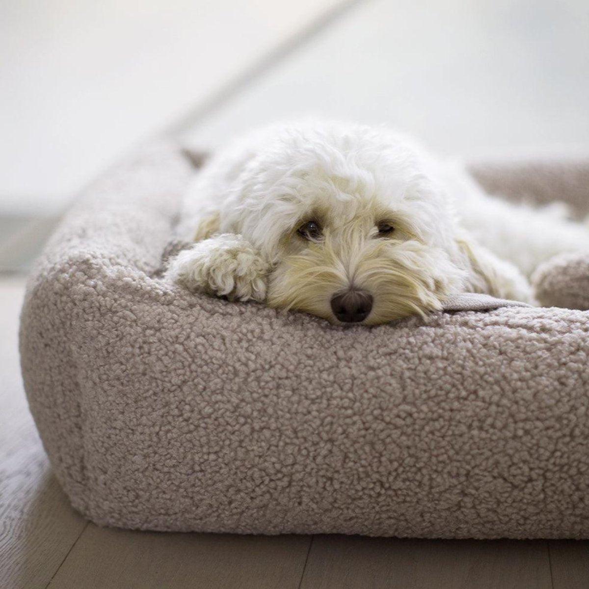Couchage pour chien confortable - SENSO - Kasibe