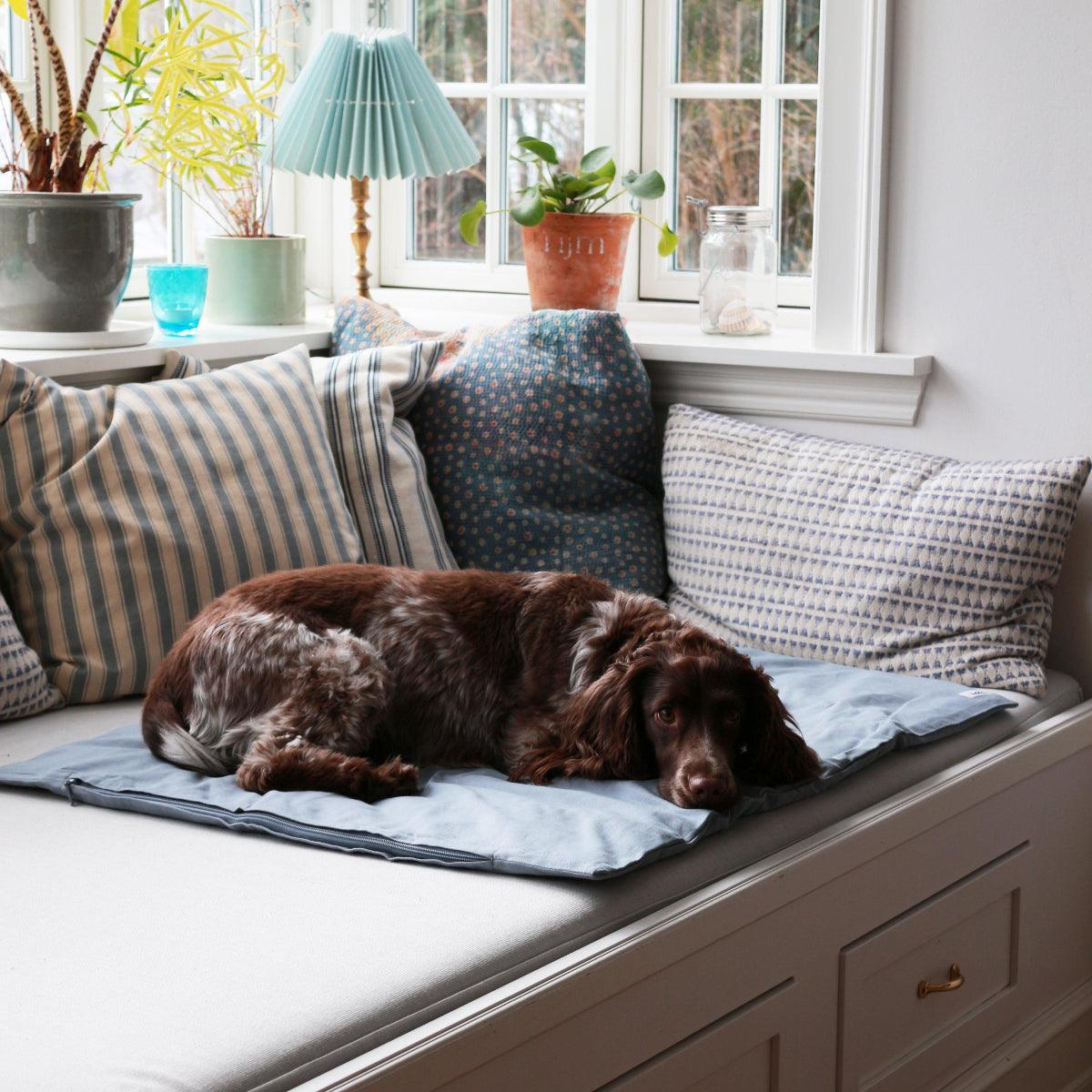 Couette pour chien réconfortante en coton - Kasibe