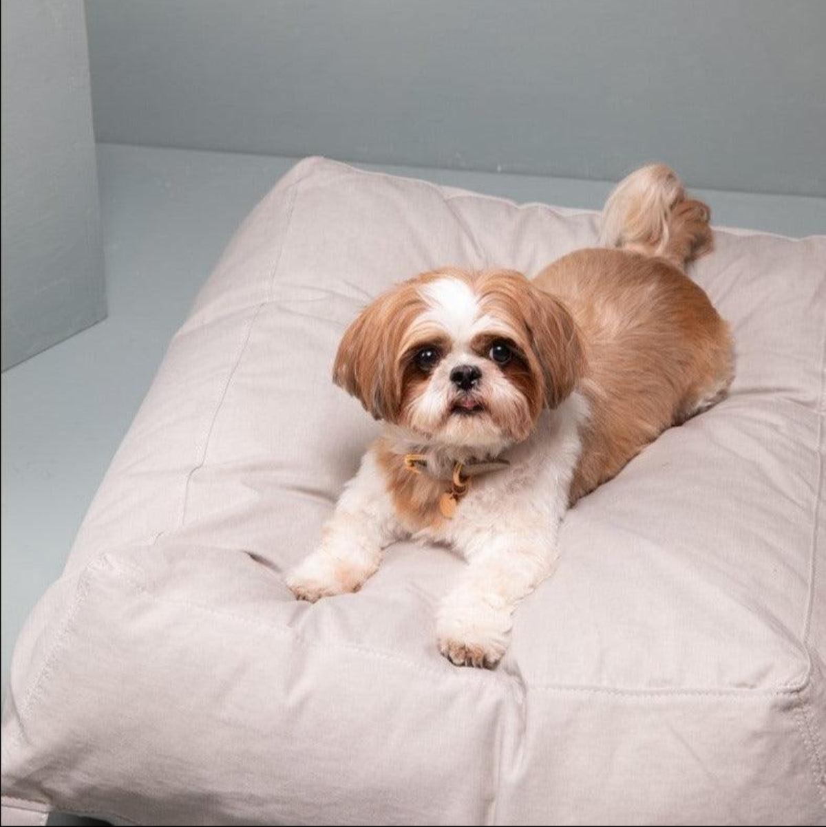 Coussin pour chien lessivable - YOUSUF DRILL - kasibe