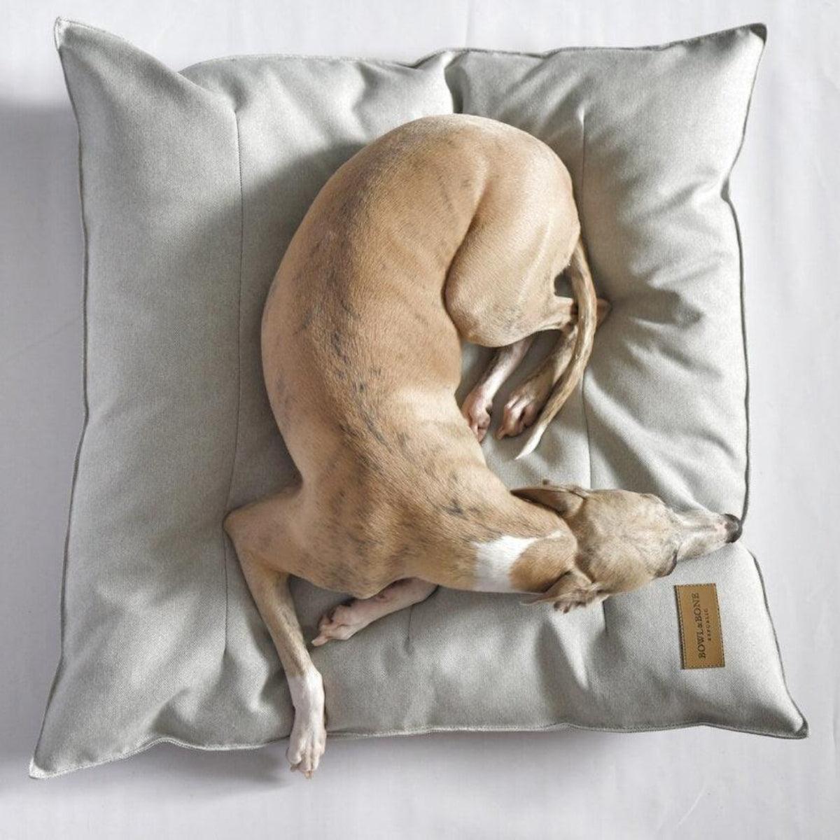 Coussin confortable pour chien - URBAN - Kasibe